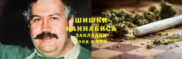 молекула духа Белоозёрский